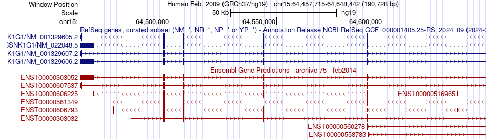 gene isoform structure of CSNK1G1