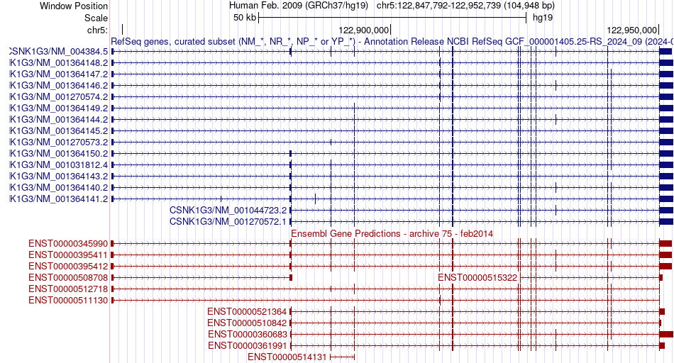 gene isoform structure of CSNK1G3