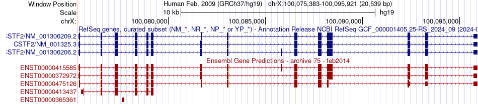 gene isoform structure of CSTF2