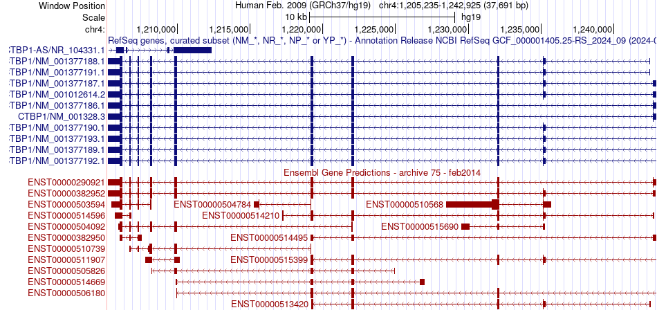 gene isoform structure of CTBP1