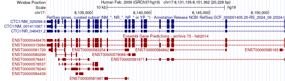 gene isoform structure of CTC1