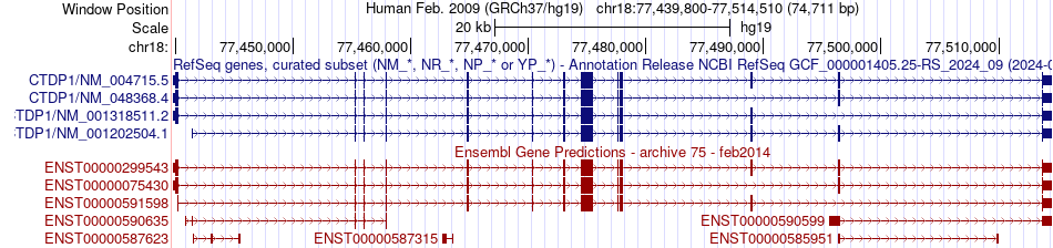 gene isoform structure of CTDP1
