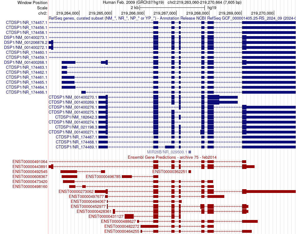 gene isoform structure of CTDSP1