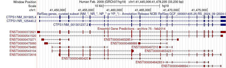 gene isoform structure of CTPS1