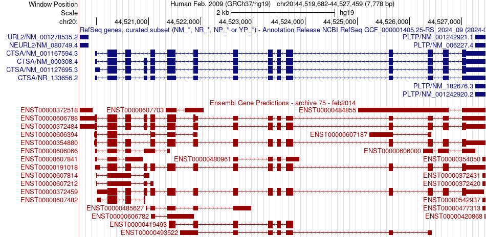 gene isoform structure of CTSA