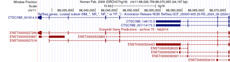 gene isoform structure of CTSC