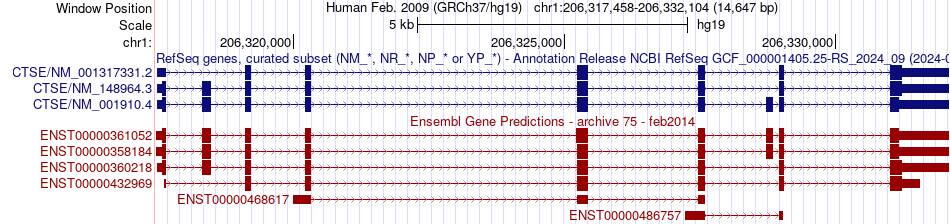 gene isoform structure of CTSE