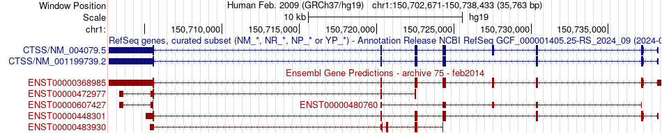 gene isoform structure of CTSS
