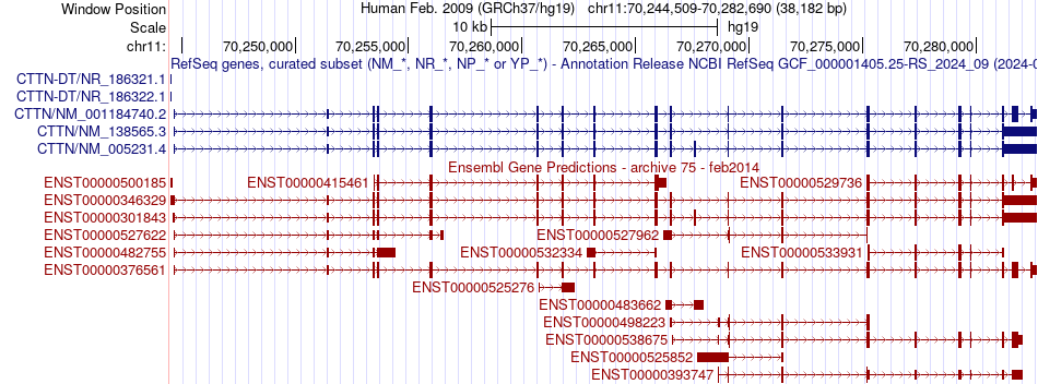 gene isoform structure of CTTN