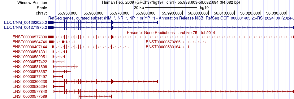 gene isoform structure of CUEDC1