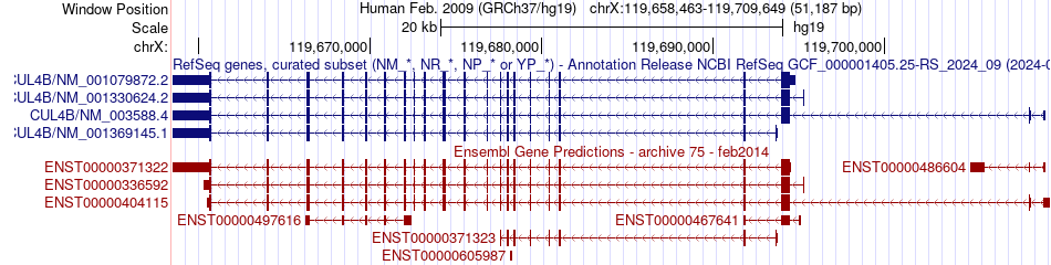 gene isoform structure of CUL4B