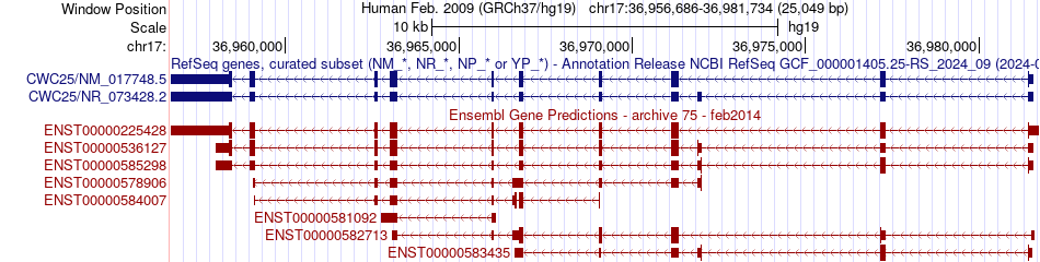 gene isoform structure of CWC25