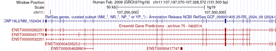 gene isoform structure of CWF19L2