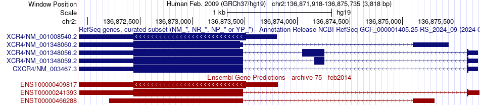 gene isoform structure of CXCR4