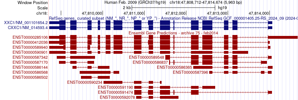 gene isoform structure of CXXC1