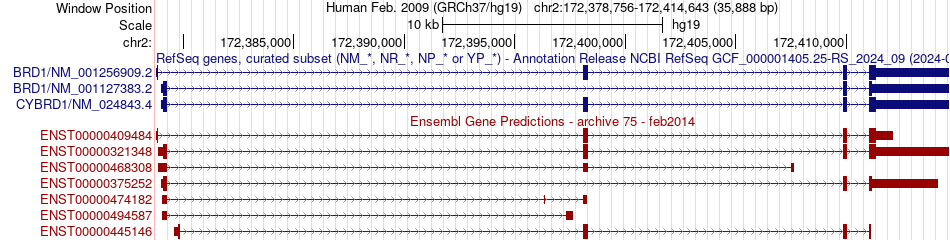 gene isoform structure of CYBRD1