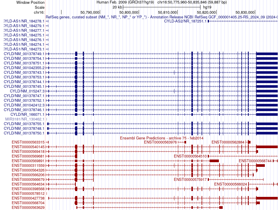 gene isoform structure of CYLD