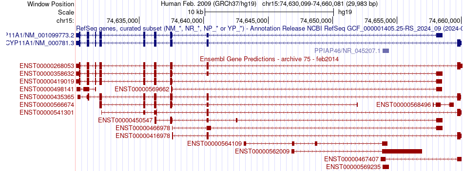 gene isoform structure of CYP11A1