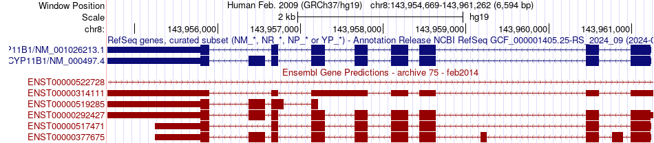 gene isoform structure of CYP11B1