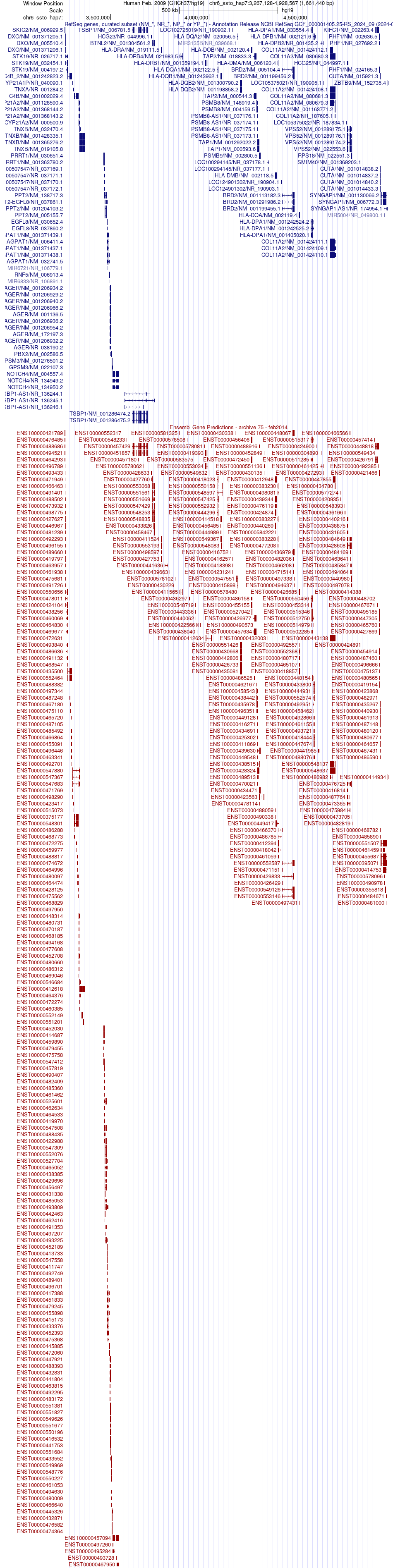 gene isoform structure of CYP21A2