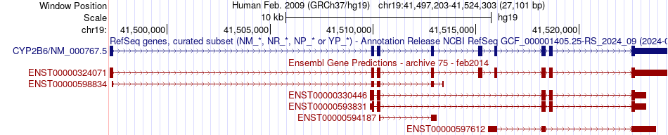 gene isoform structure of CYP2B6