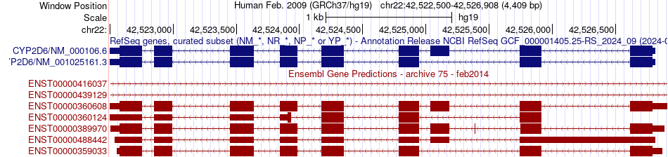 gene isoform structure of CYP2D6
