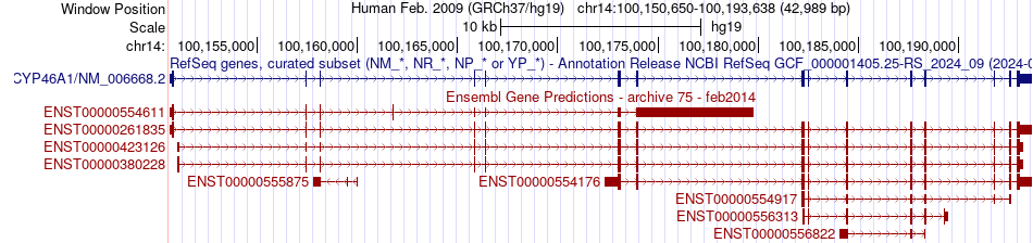 gene isoform structure of CYP46A1
