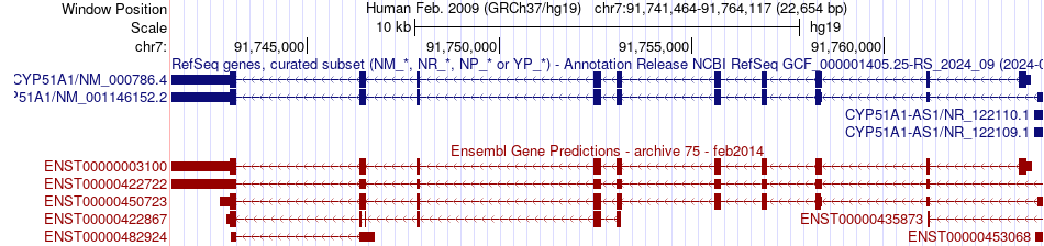 gene isoform structure of CYP51A1