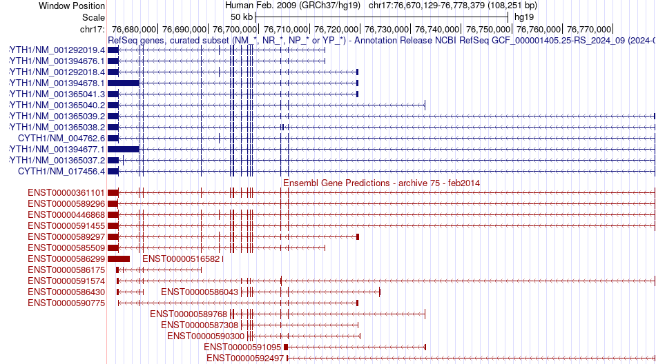 gene isoform structure of CYTH1