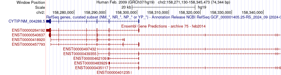 gene isoform structure of CYTIP