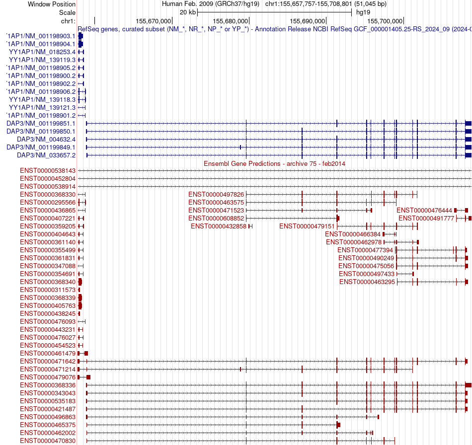 gene isoform structure of DAP3