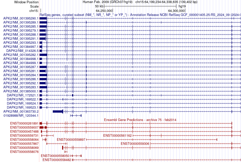 gene isoform structure of DAPK2