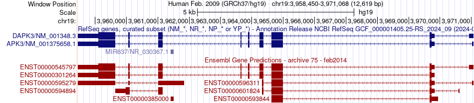 gene isoform structure of DAPK3