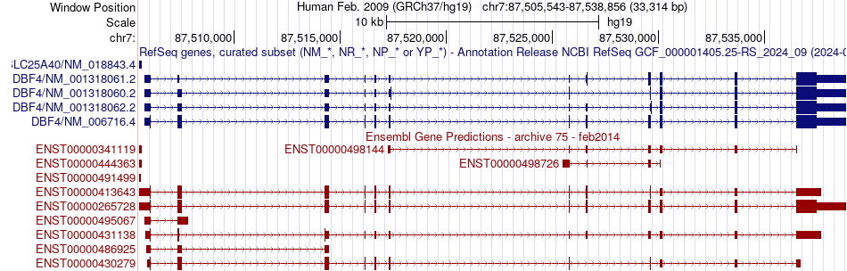 gene isoform structure of DBF4