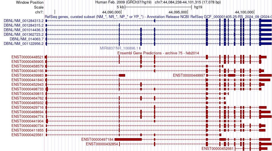 gene isoform structure of DBNL