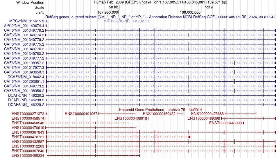 gene isoform structure of DCAF6