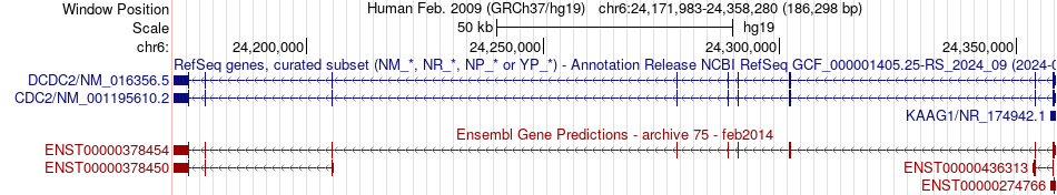 gene isoform structure of DCDC2