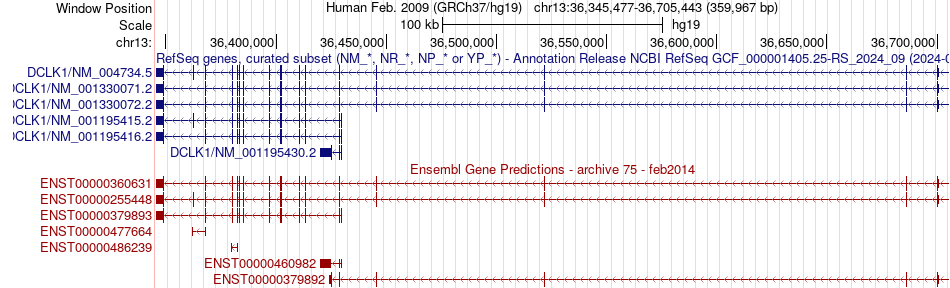 gene isoform structure of DCLK1