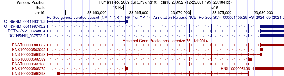 gene isoform structure of DCTN5