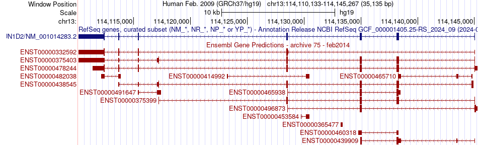 gene isoform structure of DCUN1D2