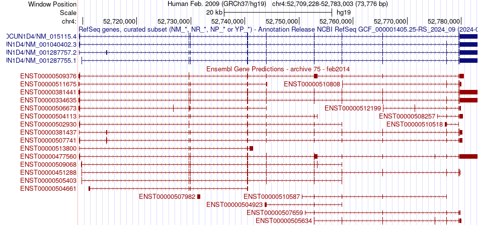 gene isoform structure of DCUN1D4