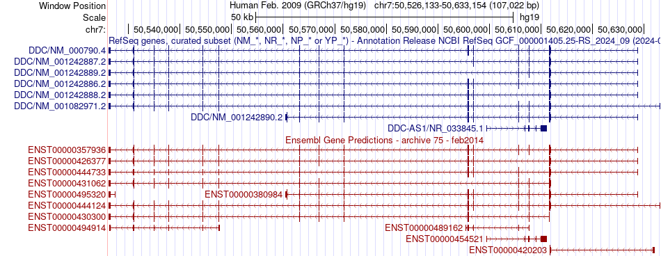 gene isoform structure of DDC