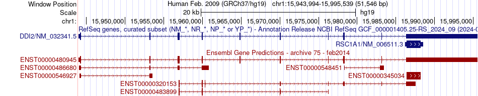 gene isoform structure of DDI2