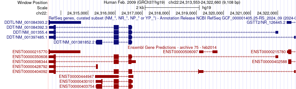 gene isoform structure of DDT
