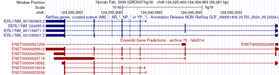 gene isoform structure of DERL1