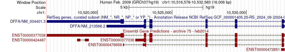 gene isoform structure of DFFA