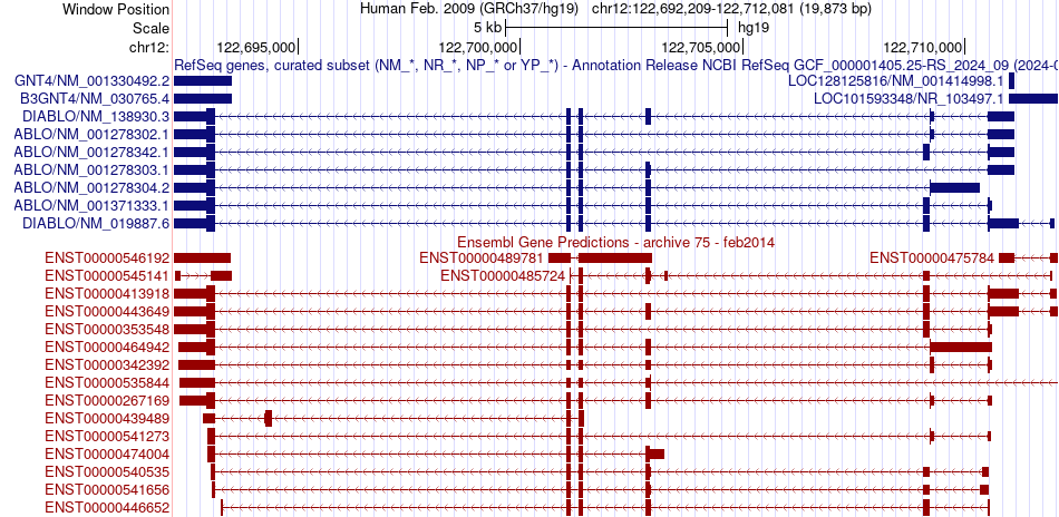 gene isoform structure of DIABLO