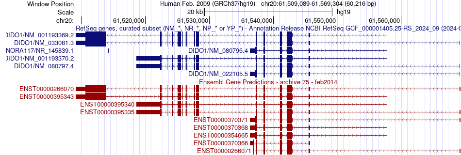 gene isoform structure of DIDO1