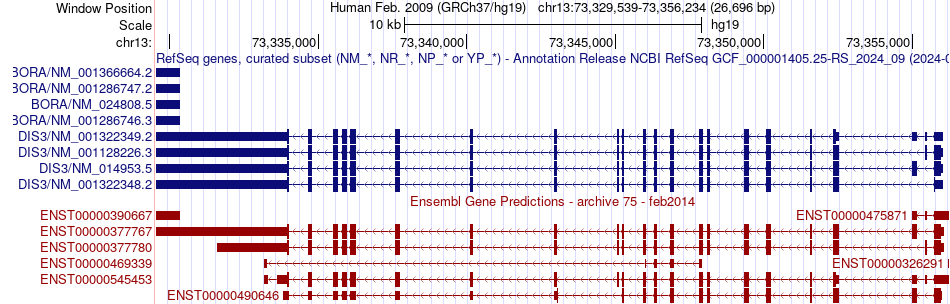 gene isoform structure of DIS3
