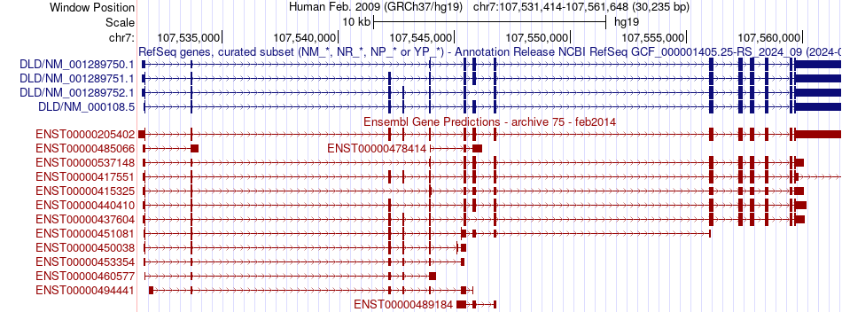 gene isoform structure of DLD